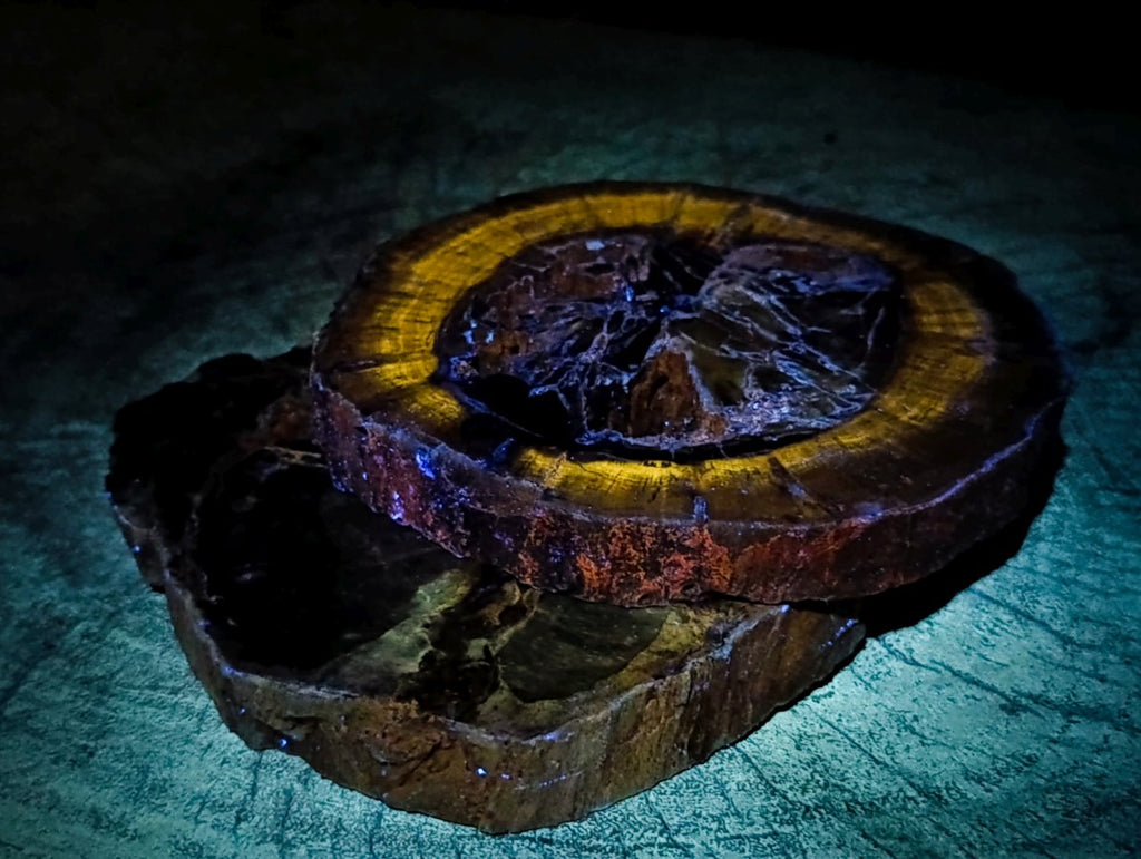 Polished Thick Dadoxylon Petrified Wood Slices x 4 From Gokwe, Zimbabwe - Toprock Gemstones and Minerals 