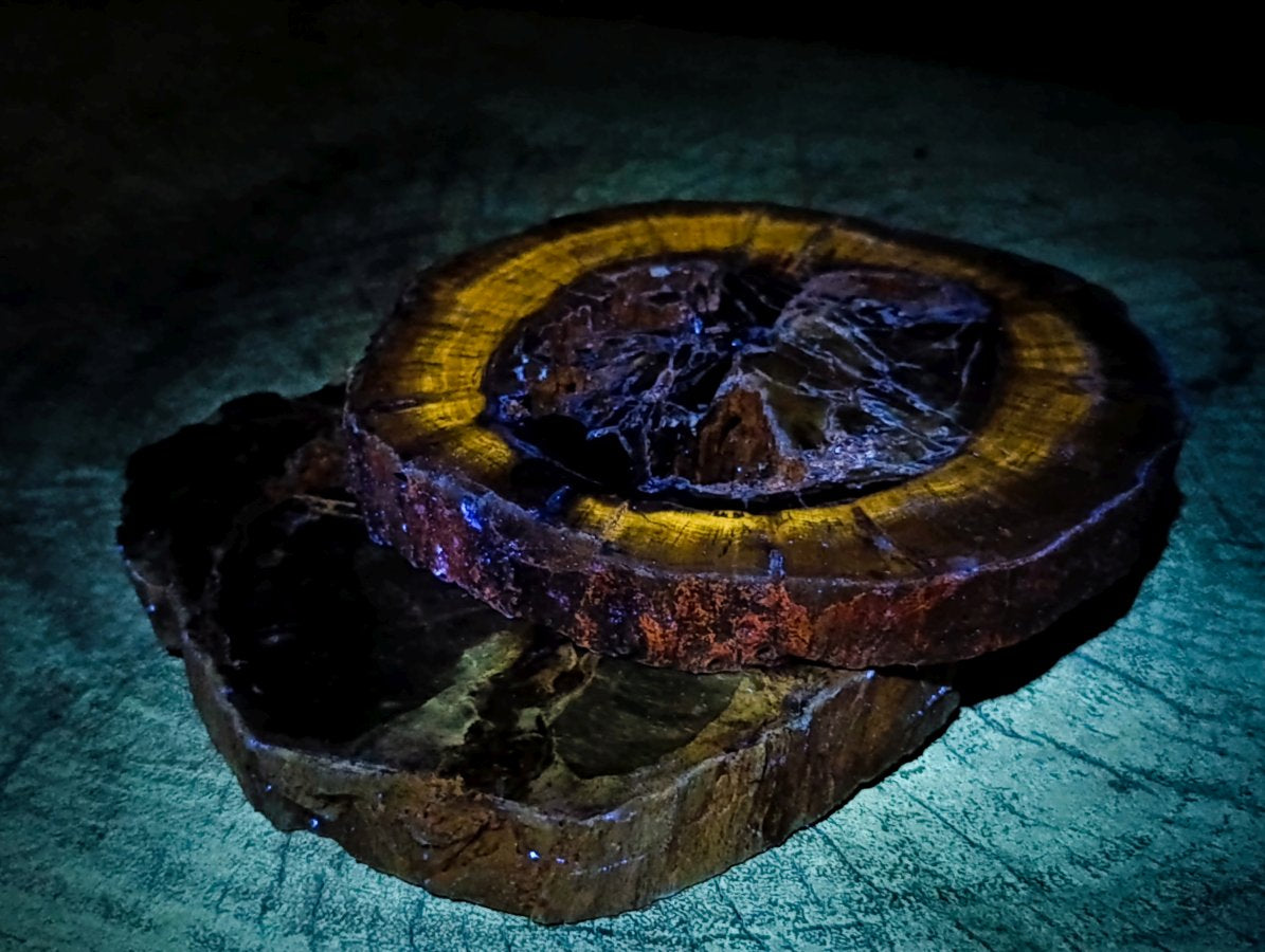 Polished Thick Dadoxylon Petrified Wood Slices x 4 From Gokwe, Zimbabwe - Toprock Gemstones and Minerals 