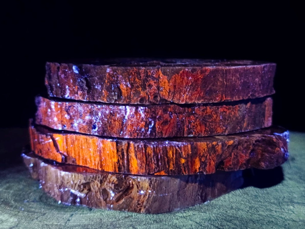 Polished Thick Dadoxylon Petrified Wood Slices x 4 From Gokwe, Zimbabwe - Toprock Gemstones and Minerals 