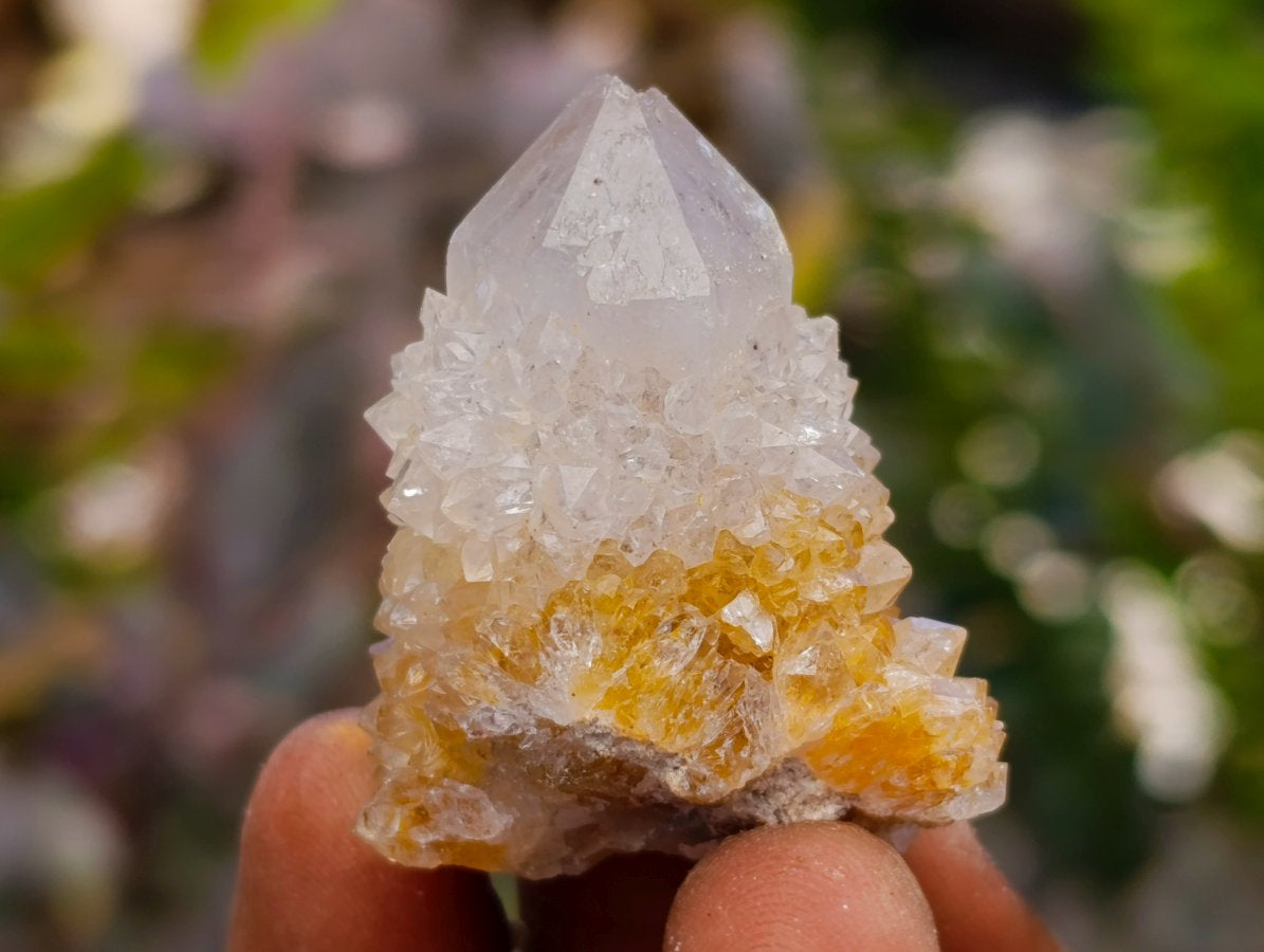 Natural Lilac Ametrine Spirit Quartz Clusters x 35 From Boekenhouthoek, South Africa - Toprock Gemstones and Minerals 