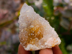 Natural Lilac Ametrine Spirit Quartz Clusters x 35 From Boekenhouthoek, South Africa - Toprock Gemstones and Minerals 