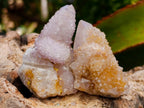 Natural Lilac Ametrine Spirit Quartz Clusters x 35 From Boekenhouthoek, South Africa - Toprock Gemstones and Minerals 