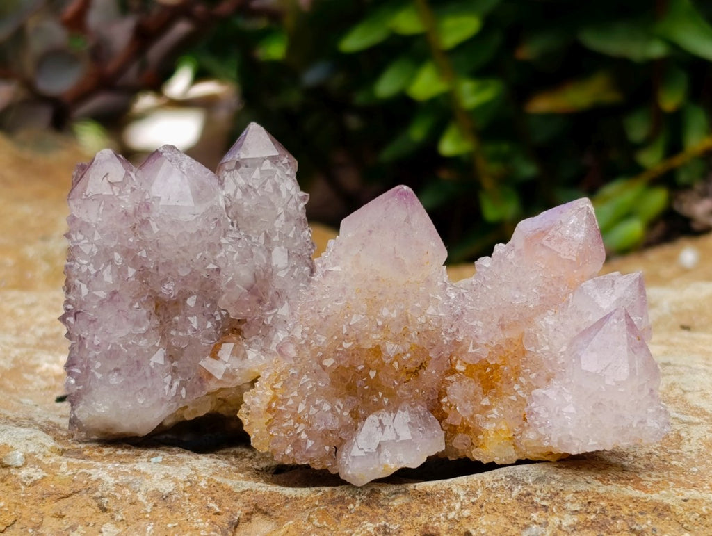 Natural Lilac Ametrine Spirit Quartz Clusters x 35 From Boekenhouthoek, South Africa - Toprock Gemstones and Minerals 