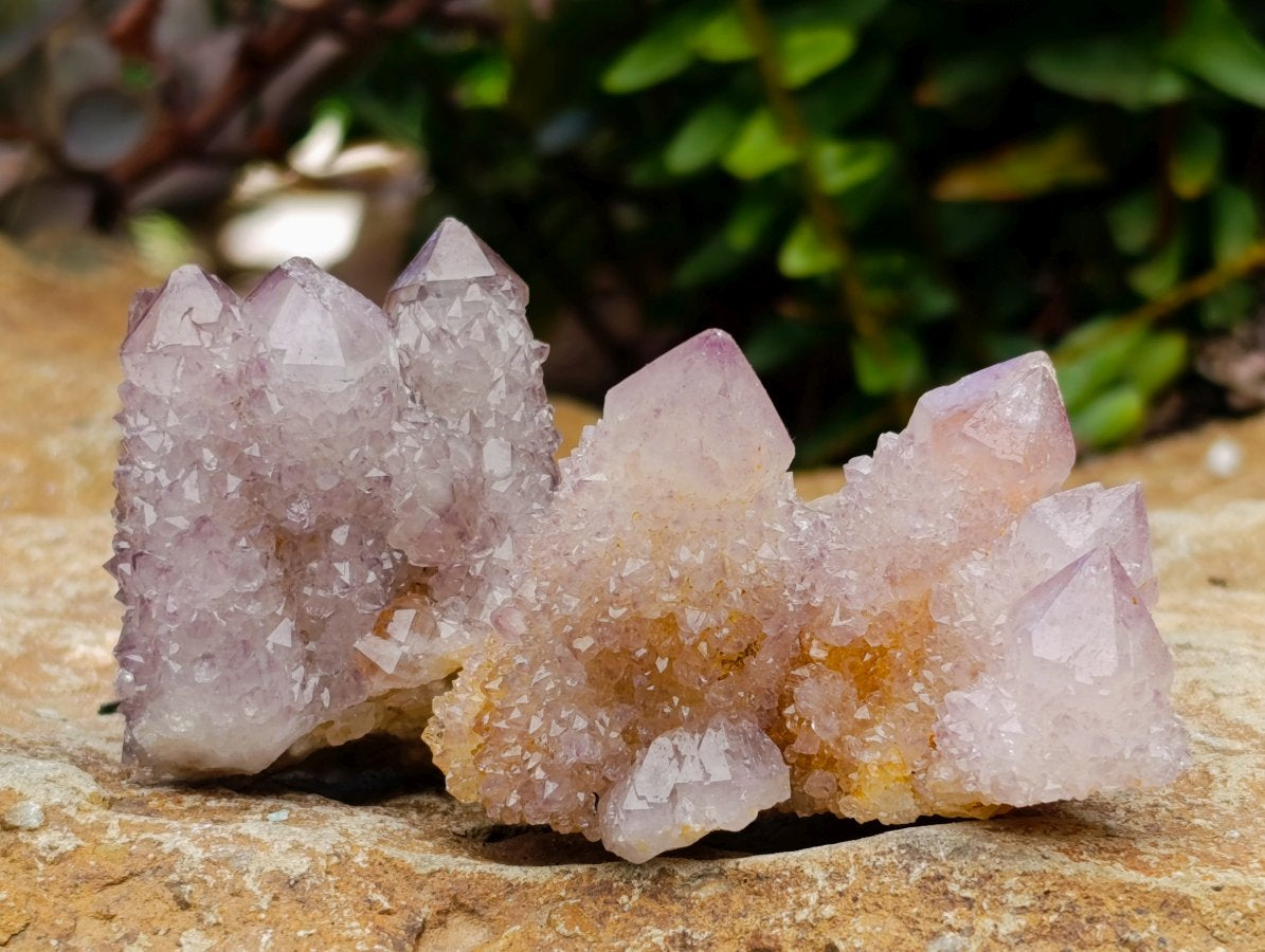 Natural Lilac Ametrine Spirit Quartz Clusters x 35 From Boekenhouthoek, South Africa - Toprock Gemstones and Minerals 