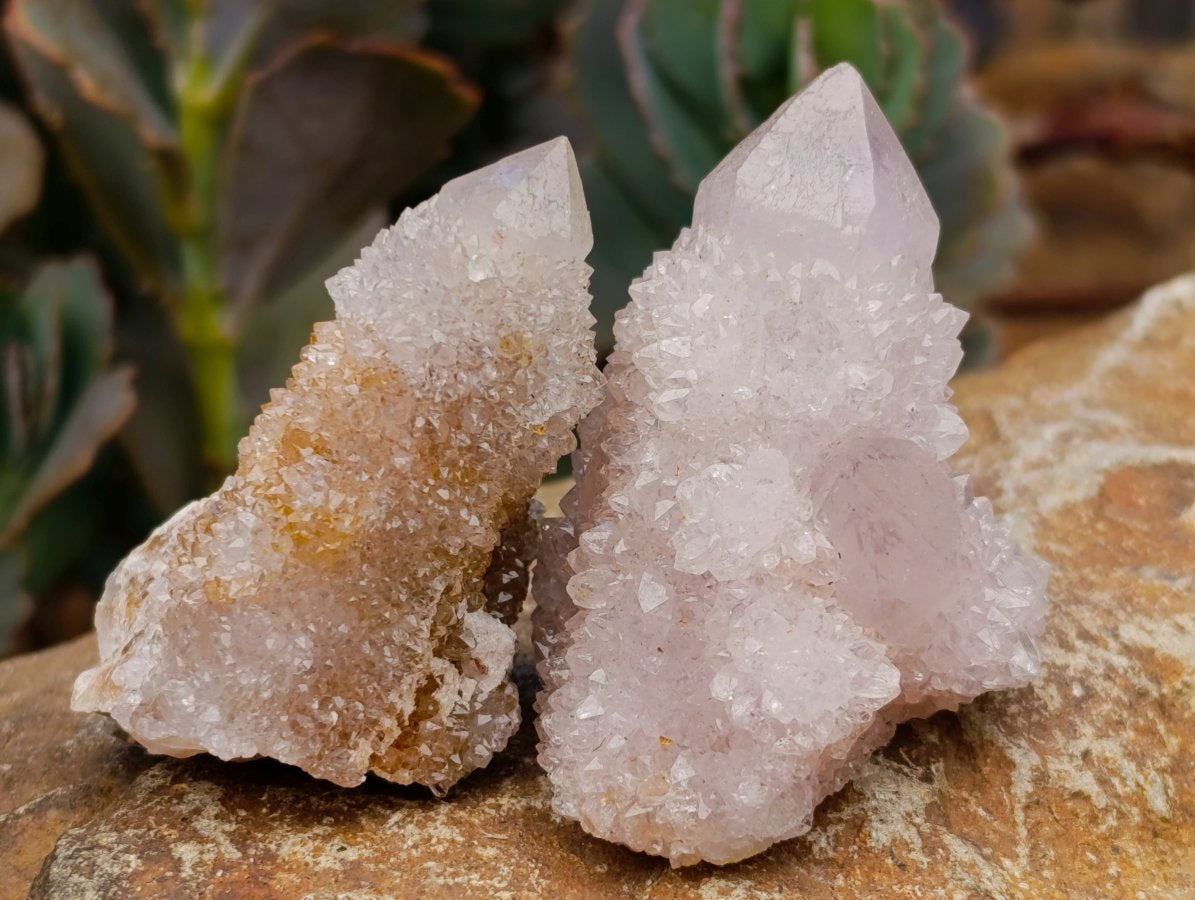 Natural Lilac Ametrine Spirit Quartz Clusters x 35 From Boekenhouthoek, South Africa - Toprock Gemstones and Minerals 
