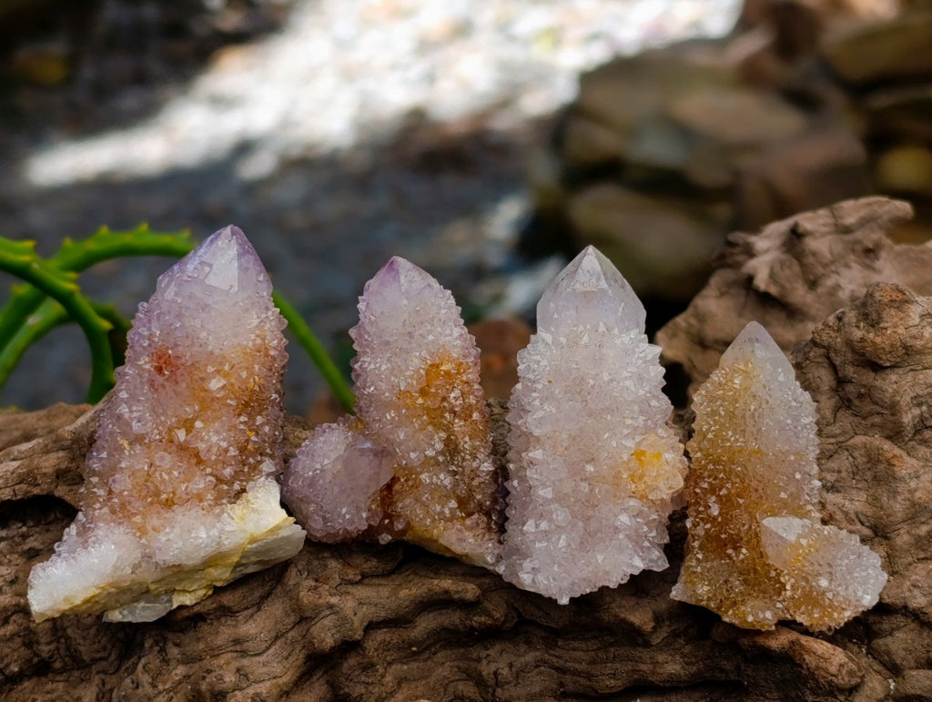 Natural Lilac Ametrine Spirit Quartz Clusters x 35 From Boekenhouthoek, South Africa - Toprock Gemstones and Minerals 