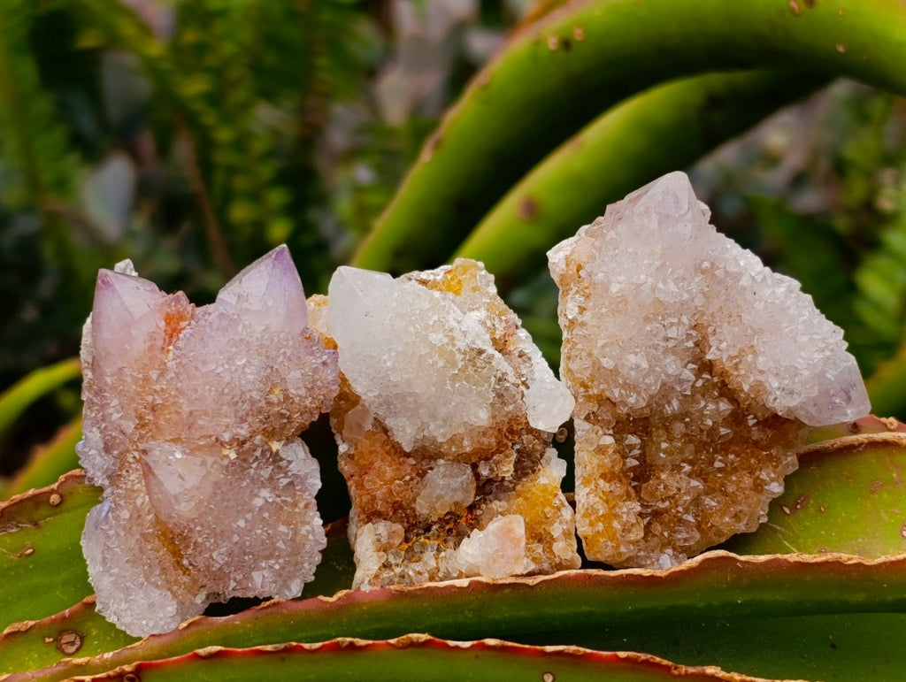Natural Lilac Ametrine Spirit Quartz Clusters x 35 From Boekenhouthoek, South Africa - Toprock Gemstones and Minerals 