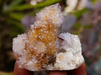 Natural Lilac Ametrine Spirit Quartz Clusters x 35 From Boekenhouthoek, South Africa - Toprock Gemstones and Minerals 