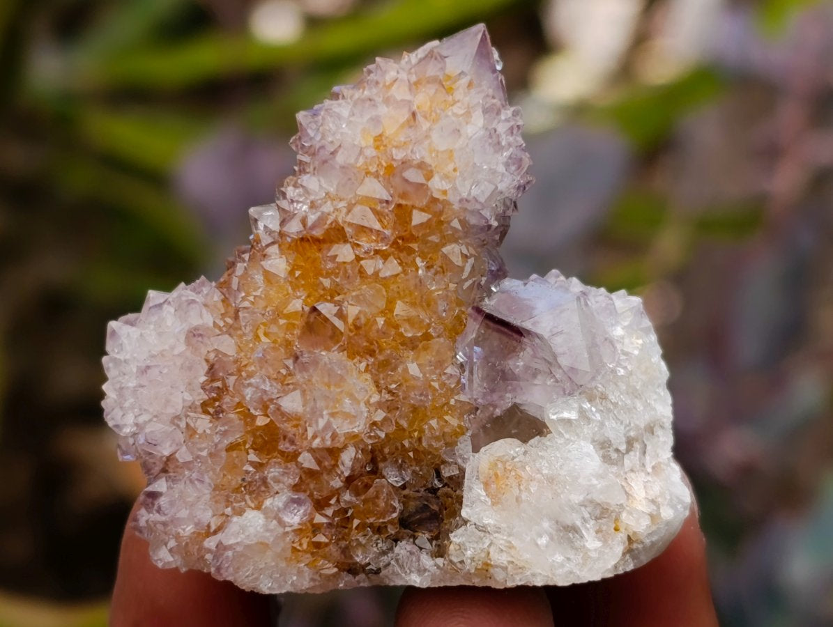 Natural Lilac Ametrine Spirit Quartz Clusters x 35 From Boekenhouthoek, South Africa - Toprock Gemstones and Minerals 