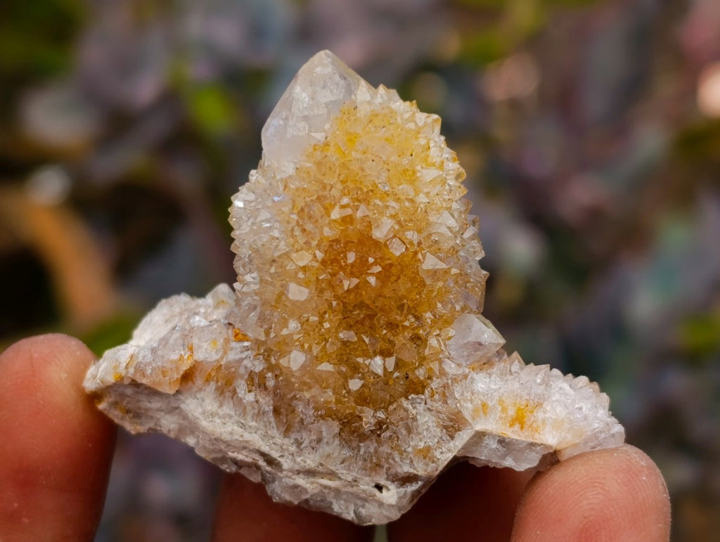 Natural Lilac Ametrine Spirit Quartz Clusters x 35 From Boekenhouthoek, South Africa - Toprock Gemstones and Minerals 