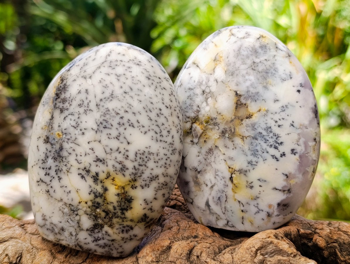 Polished Fluorescent Dendritic Opal Standing Free Forms x 6 From Moralambo, Madagascar - Toprock Gemstones and Minerals 