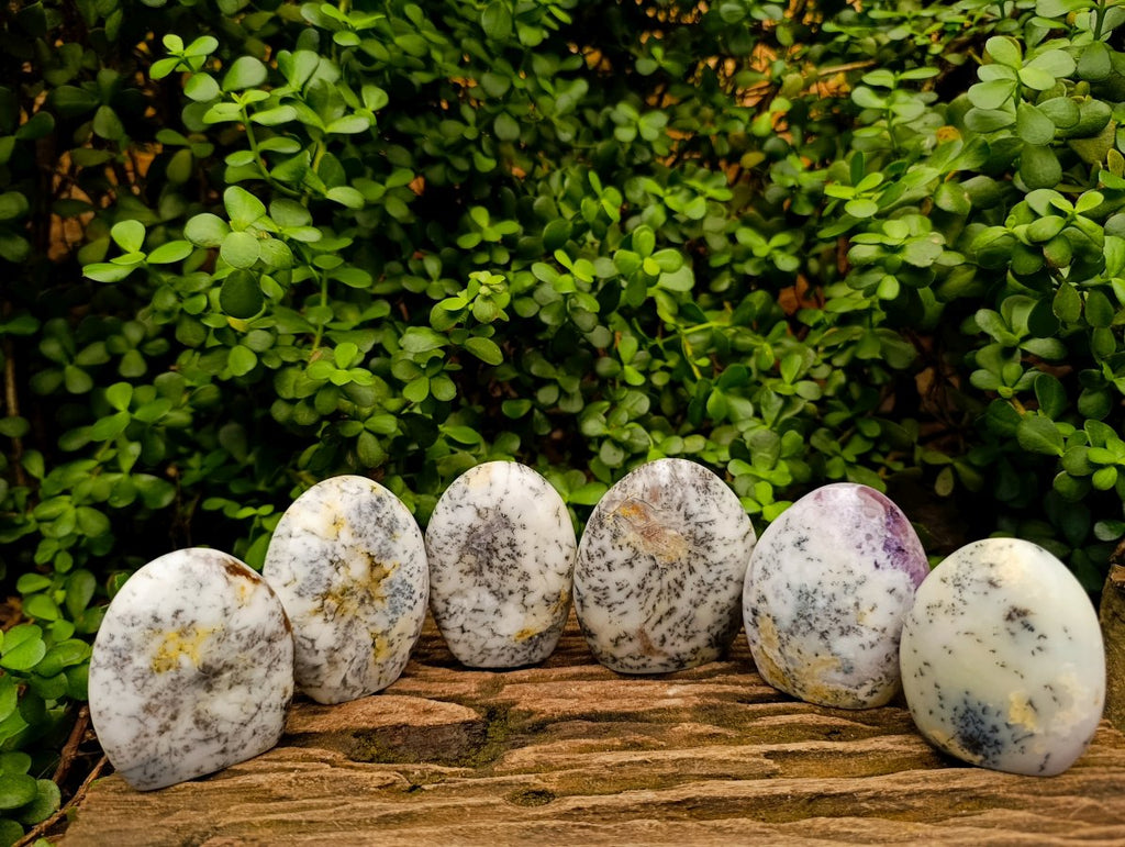 Polished Fluorescent Dendritic Opal Standing Free Forms x 6 From Moralambo, Madagascar - Toprock Gemstones and Minerals 
