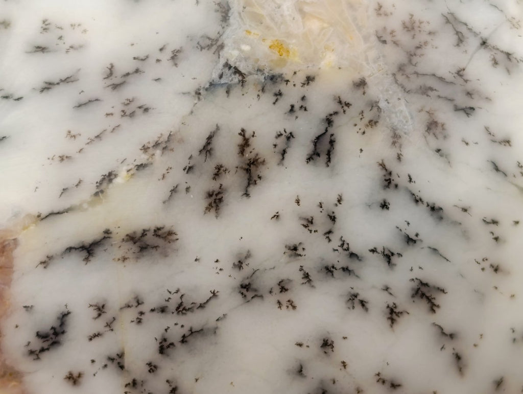 Polished Fluorescent Dendritic Opal Standing Free Forms x 6 From Moralambo, Madagascar - Toprock Gemstones and Minerals 