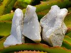 Natural Blue Lace Agate Geodes and Cluster Specimens x 24 From Nsanje, Malawi - Toprock Gemstones and Minerals 