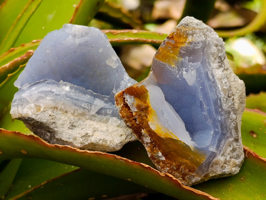 Natural Blue Lace Agate Geodes and Cluster Specimens x 24 From Nsanje, Malawi - Toprock Gemstones and Minerals 