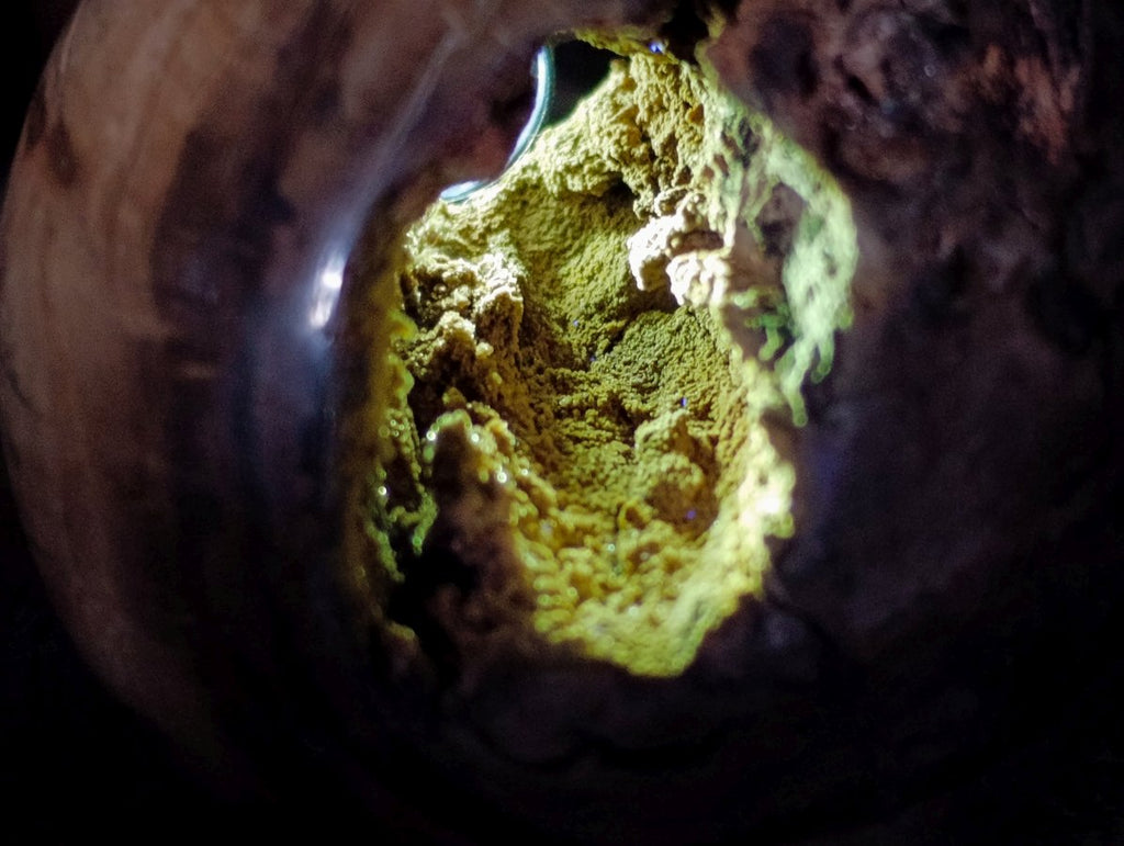 Polished Dadoxylon Petrified Wood Spheres x 6 From Gokwe, Zimbabwe - Toprock Gemstones and Minerals 