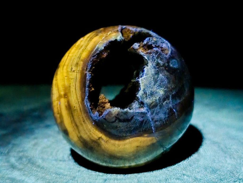 Polished Dadoxylon Petrified Wood Spheres x 6 From Gokwe, Zimbabwe - Toprock Gemstones and Minerals 