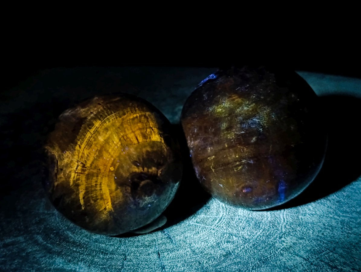 Polished Dadoxylon Petrified Wood Spheres x 6 From Gokwe, Zimbabwe - Toprock Gemstones and Minerals 