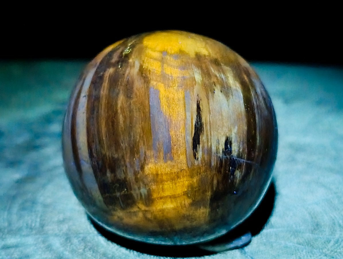 Polished Dadoxylon Petrified Wood Spheres x 6 From Gokwe, Zimbabwe - Toprock Gemstones and Minerals 