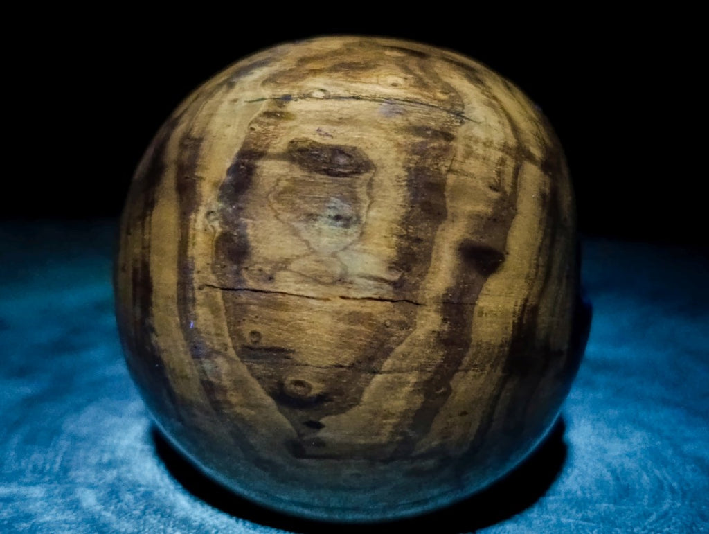 Polished Dadoxylon Petrified Wood Spheres x 6 From Gokwe, Zimbabwe - Toprock Gemstones and Minerals 