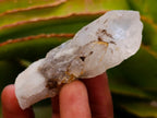 Natural Drusy Quartz Coated Spearhead Calcite Crystals x 12 From Albert's Mountain, Lesotho - Toprock Gemstones and Minerals 