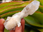 Natural Drusy Quartz Coated Spearhead Calcite Crystals x 12 From Albert's Mountain, Lesotho - Toprock Gemstones and Minerals 