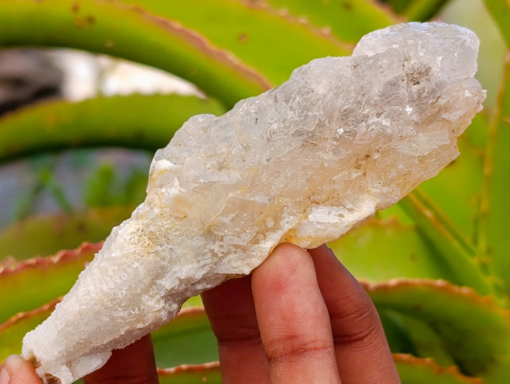 Natural Drusy Quartz Coated Spearhead Calcite Crystals x 12 From Albert's Mountain, Lesotho - Toprock Gemstones and Minerals 