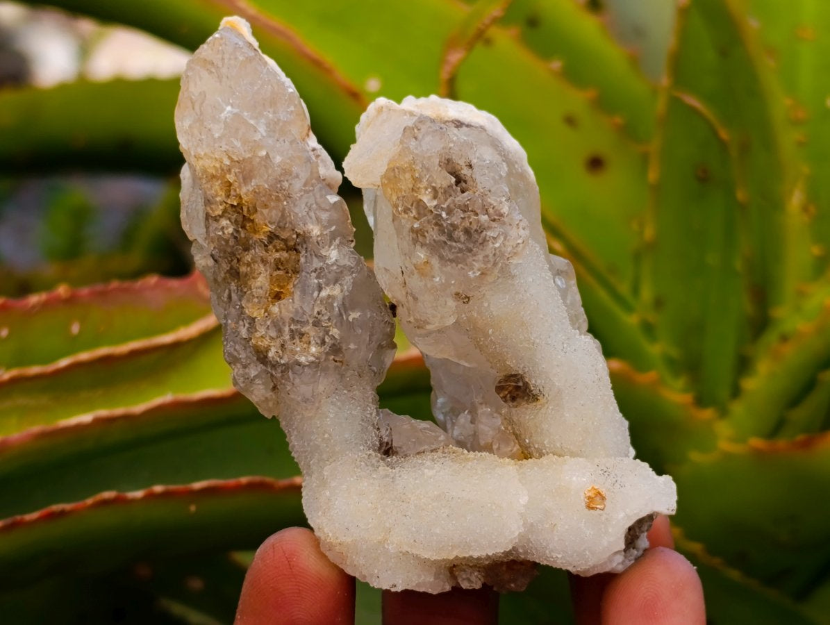 Natural Drusy Quartz Coated Spearhead Calcite Crystals x 12 From Albert's Mountain, Lesotho - Toprock Gemstones and Minerals 