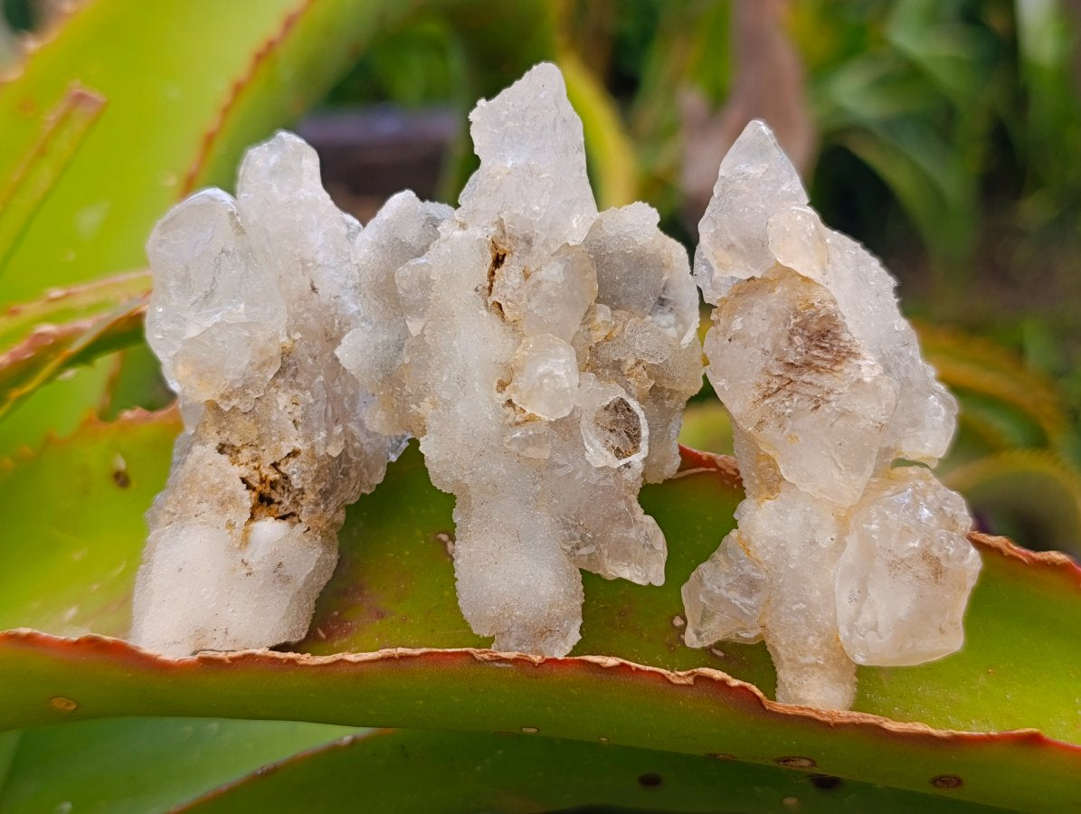 Natural Drusy Quartz Coated Spearhead Calcite Crystals x 12 From Albert's Mountain, Lesotho - Toprock Gemstones and Minerals 