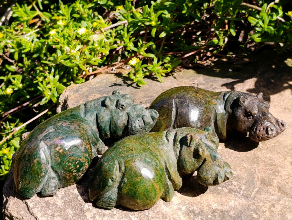 Hand Made Verdite Hippo Carvings x 3 From Zimbabwe - Toprock Gemstones and Minerals 