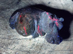 Hand Made Verdite Hippo Carvings x 3 From Zimbabwe - Toprock Gemstones and Minerals 