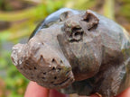 Hand Made Verdite Hippo Carvings x 3 From Zimbabwe - Toprock Gemstones and Minerals 