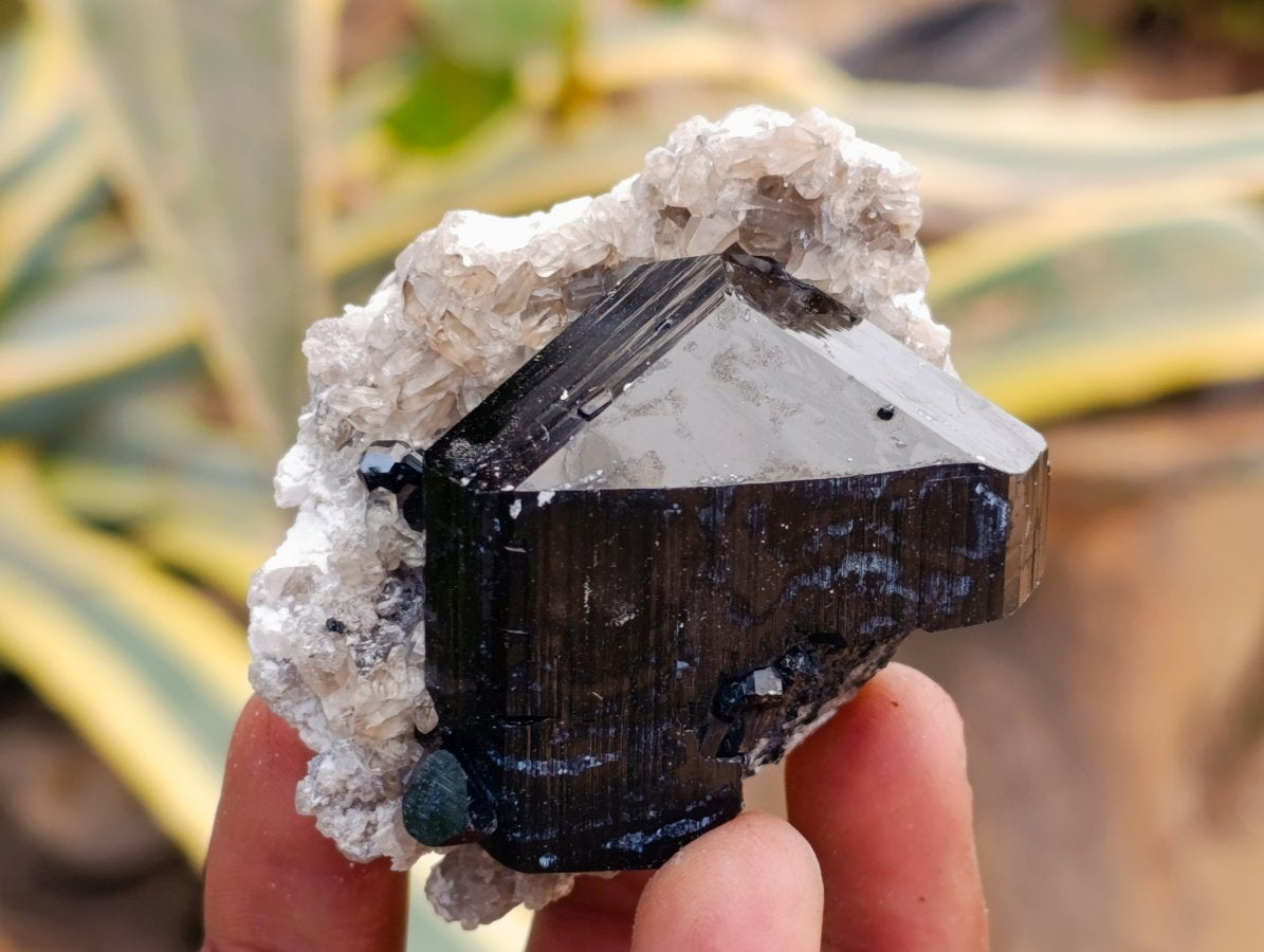 Natural Schorl Black Tourmaline with Feldspar Specimens x 12 From Erongo, Namibia - Toprock Gemstones and Minerals 