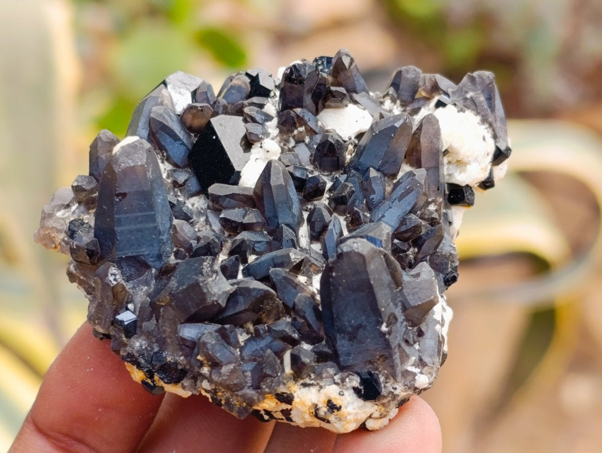 Natural Schorl Black Tourmaline with Feldspar Specimens x 12 From Erongo, Namibia - Toprock Gemstones and Minerals 