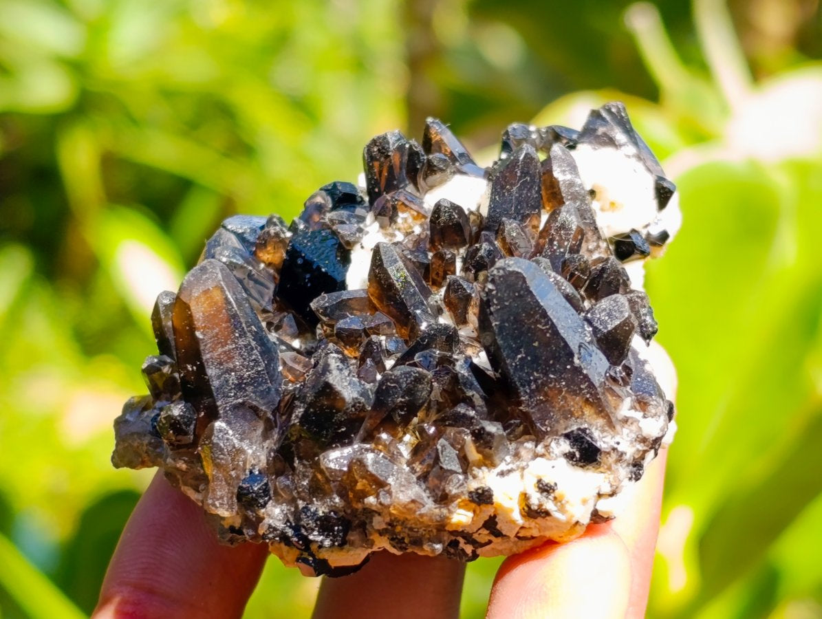 Natural Schorl Black Tourmaline with Feldspar Specimens x 12 From Erongo, Namibia - Toprock Gemstones and Minerals 