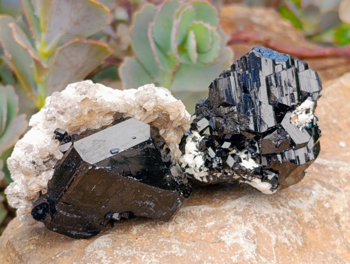 Natural Schorl Black Tourmaline with Feldspar Specimens x 12 From Erongo, Namibia - Toprock Gemstones and Minerals 