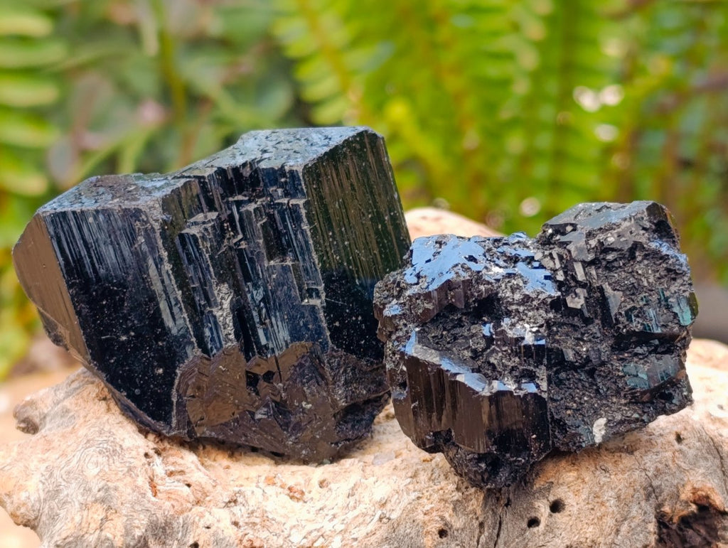 Natural Schorl Black Tourmaline with Feldspar Specimens x 12 From Erongo, Namibia - Toprock Gemstones and Minerals 