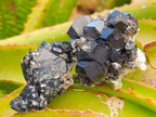 Natural Schorl Black Tourmaline with Feldspar Specimens x 12 From Erongo, Namibia - Toprock Gemstones and Minerals 
