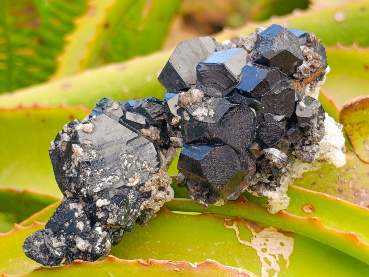 Natural Schorl Black Tourmaline with Feldspar Specimens x 12 From Erongo, Namibia - Toprock Gemstones and Minerals 