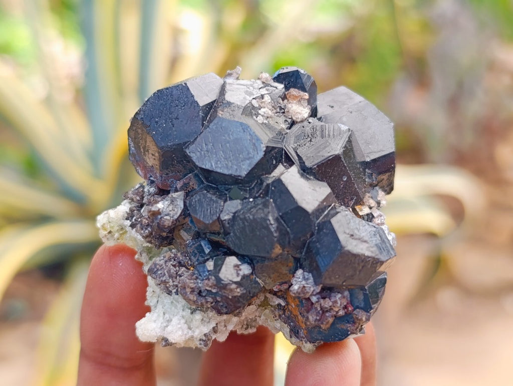 Natural Schorl Black Tourmaline with Feldspar Specimens x 12 From Erongo, Namibia - Toprock Gemstones and Minerals 