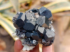 Natural Schorl Black Tourmaline with Feldspar Specimens x 12 From Erongo, Namibia - Toprock Gemstones and Minerals 