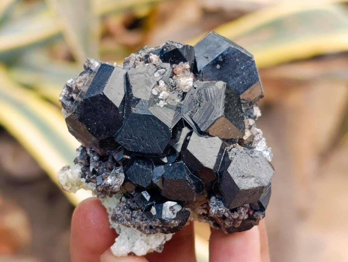 Natural Schorl Black Tourmaline with Feldspar Specimens x 12 From Erongo, Namibia - Toprock Gemstones and Minerals 