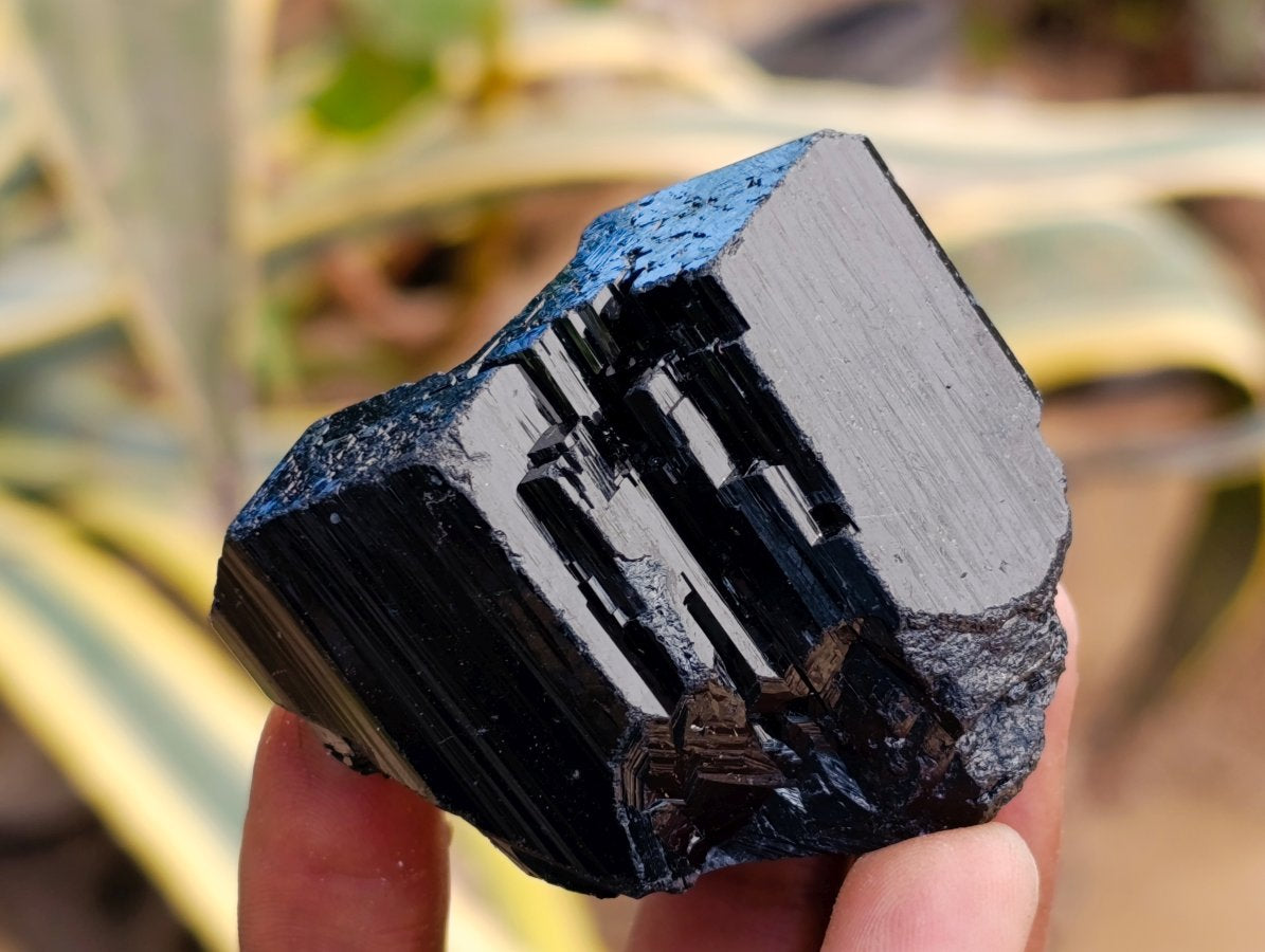 Natural Schorl Black Tourmaline with Feldspar Specimens x 12 From Erongo, Namibia - Toprock Gemstones and Minerals 