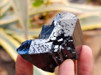 Natural Schorl Black Tourmaline with Feldspar Specimens x 12 From Erongo, Namibia - Toprock Gemstones and Minerals 