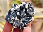 Natural Schorl Black Tourmaline with Feldspar Specimens x 12 From Erongo, Namibia - Toprock Gemstones and Minerals 