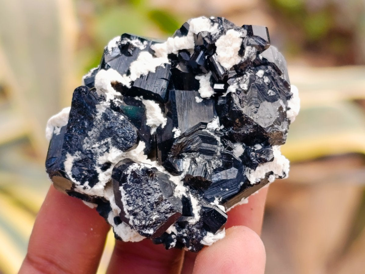 Natural Schorl Black Tourmaline with Feldspar Specimens x 12 From Erongo, Namibia - Toprock Gemstones and Minerals 