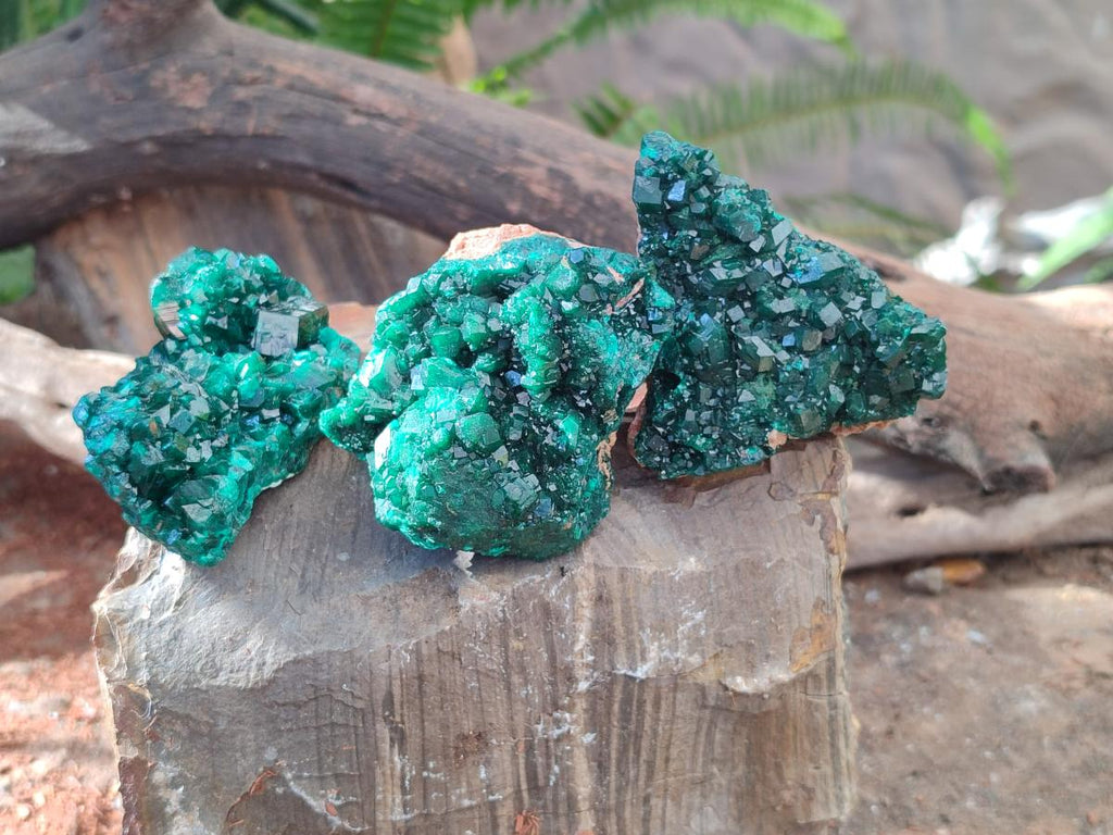 Natural Dioptase on Dolomite Specimens x 3 From Likasi, Congo - Toprock Gemstones and Minerals 