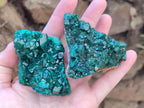 Natural Dioptase on Dolomite Specimens x 3 From Likasi, Congo - Toprock Gemstones and Minerals 
