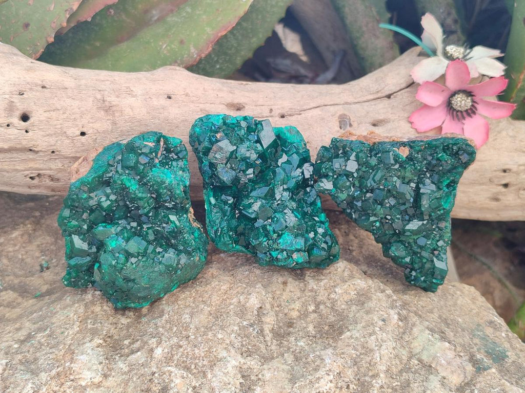 Natural Dioptase on Dolomite Specimens x 3 From Likasi, Congo - Toprock Gemstones and Minerals 