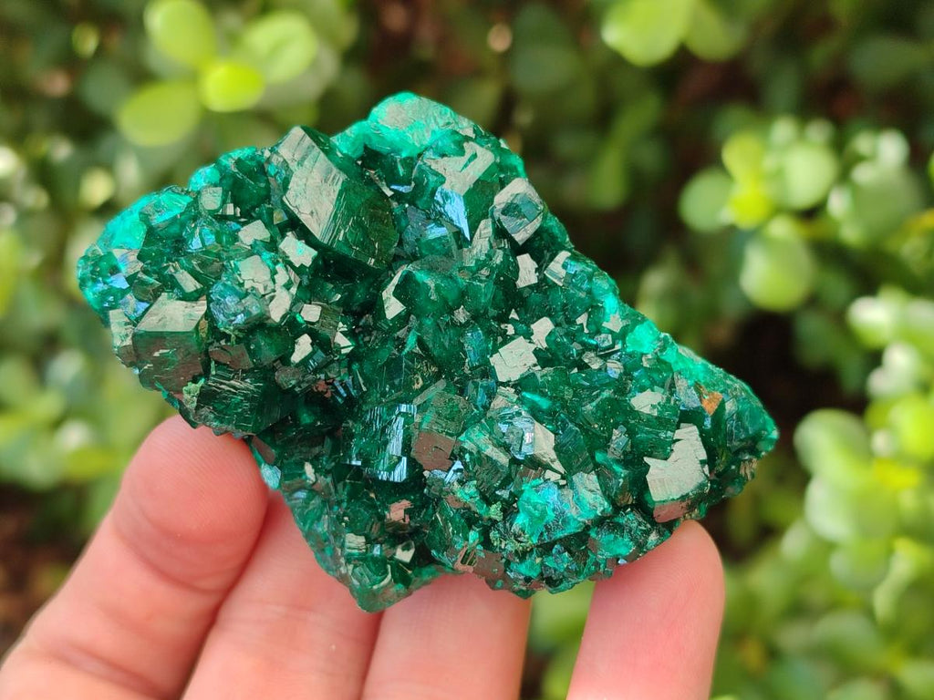 Natural Dioptase on Dolomite Specimens x 3 From Likasi, Congo - Toprock Gemstones and Minerals 